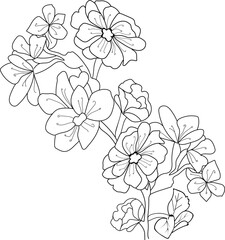 Cherry blossom flowers and branch vector illustration. hand Drawing vector illustation for the coloring book or page Black and white engraved ink art, for kids or adults.

