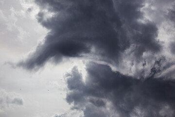 Fototapeta premium Black and white cloudy sky