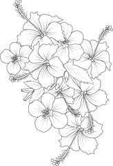 Red hibiscus  Flower Isolated on a White Background. Vector illustration easy sketch hand drawn clip art on whit background coloring page for adult.
