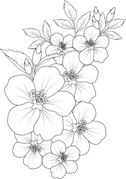 Red hibiscus  Flower Isolated on a White Background. Vector illustration easy sketch hand drawn clip art on whit background coloring page for adult.
