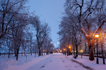 Evening winter alley with benches and New Year's decorations.