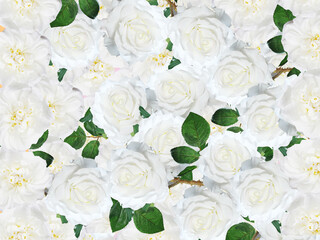 White roses background. Best for wedding design. Feminine pattern in romantic style. 