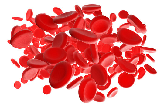 Red blood cells on a white background. 3d illustration