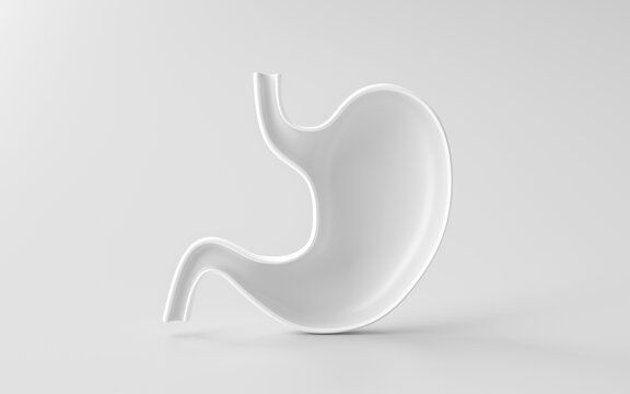Blank human stomach 3d isolated on white digestion anatomy background with organ internal health body digestive biology system or medical healthy concept and empty esophagus abdomen gastric object.