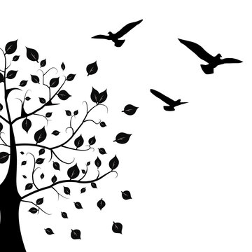 Bird and black tree vector and illustration design