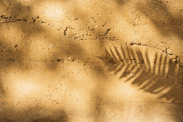 Concept of beauty. Minimal abstract concrete texture background for cosmetic product presentation. Premium podium with tropical palm leaf shadow on beige natural stone wall.