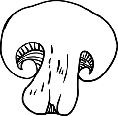 Doodle freehand sketch drawing of mushroom vegetable.