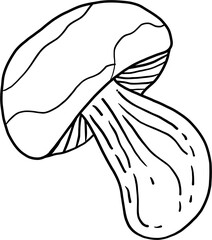 Doodle freehand sketch drawing of mushroom vegetable.