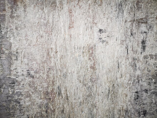 Obraz premium Tree Bark Tree Trunk Close Up Photo as Textured Background