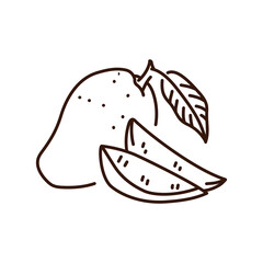 Mango and slices color line icon. Tropical fruit.