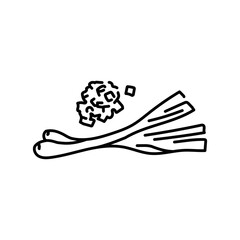 Green onion color line icon. Natural vegetable.