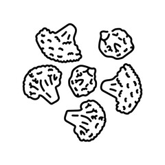 Broccoli color line icon. Natural vegetable.