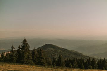 Fototapeta na wymiar Kopaonik mountain in Serbia