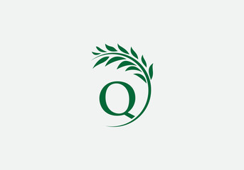Green leaf and laurel wreath logo design vector with the letter and alphabet Q