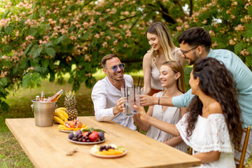 Group of happy young people cheering with fresh lemonade and eating fruits in the garden - obrazy, fototapety, plakaty