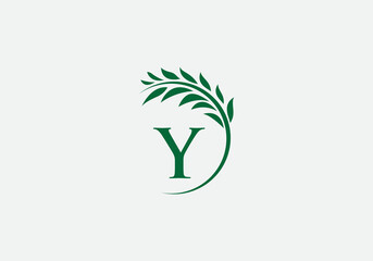 Green leaf and laurel wreath logo design vector with the letter and alphabet Y