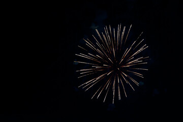 Obraz premium Colorful fireworks in the night sky. Festive pyrotechnics. Background image.