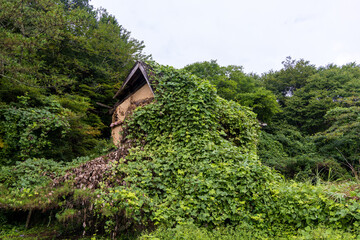 Fototapeta na wymiar 古くてとても美しい日本の建物