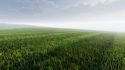 green field and blue sky