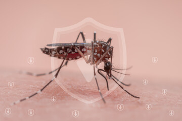 Mosquitoes are natural blood-sucking insects that inflict pain on human health, and biologically...