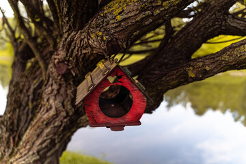Bird feeder hanging on a tree