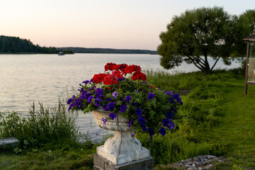 Flowerbed with blurred view during sunset on the lake