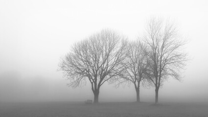 Fog on Clifton Downs, Bristol 