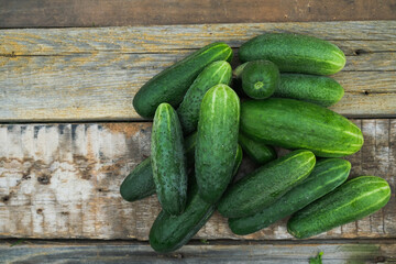 Ripe cucumbers on wooden board.
