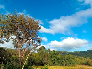 Obraz premium Hello summer holiday travel natural beautiful landscape meadow background wallpaper photography image