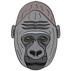 Gorilla head illustration, flat style logo. Cartoon image vector graphics.