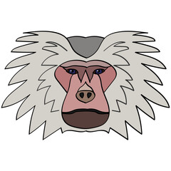 Hamadryas baboon head illustration, flat style logo. Cartoon image vector graphics.