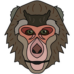 Macaque head illustration, flat style logo. Cartoon image vector graphics.