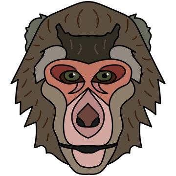 Macaque head illustration, flat style logo. Cartoon image vector graphics.