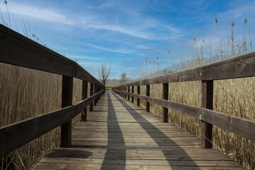 Naklejka premium wooden path a Posta Fibreno nature reserve (Frosinone)