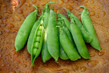 Freshly harvested green peas with droplets on wood background with sunlight
