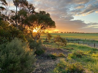 Fototapeta na wymiar sunset in rural South Australia 