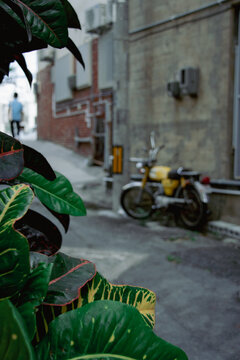 alley in Okinawa