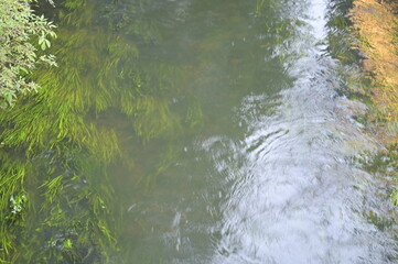 River Łyna with a shore in the colors of gold and green in the sun and in the shade
