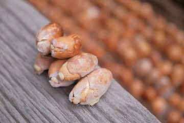 Seeds of durian, a famous fruit in South East Asia. A strong smell of fruits, that not everybody can handle.