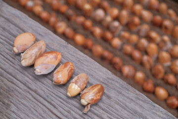Seeds of durian, a famous fruit in South East Asia. A strong smell of fruits, that not everybody can handle.