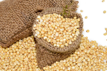 The sorghum seeds,Grain isolated on white background