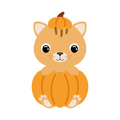 Cute little cat sitting in a pumpkin. Cartoon animal character for kids t-shirts, nursery decoration, baby shower, greeting card, invitation. Vector stock illustration