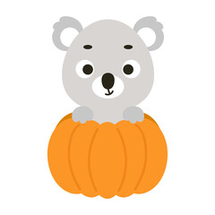 Cute little koala sitting in a pumpkin. Cartoon animal character for kids t-shirts, nursery decoration, baby shower, greeting card, invitation. Vector stock illustration