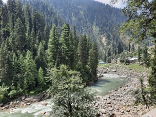 Natural beauty and wildlife of Kashmir Pakistan