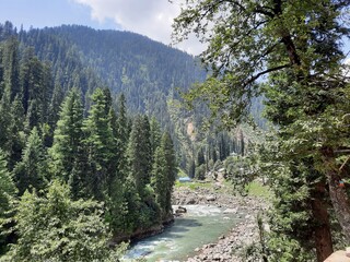 Natural beauty and wildlife of Kashmir Pakistan