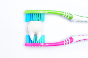 Cleaning tooth with two toothbrushes on white