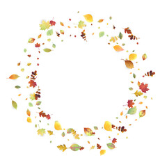 Leaves Falling Autumn Foliage Chaotic Leaf Flying