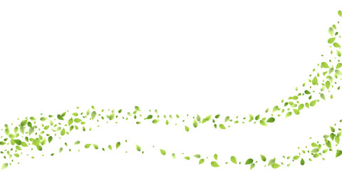 Leaves Green Falling Flying Foliage Leaf Tea Mint