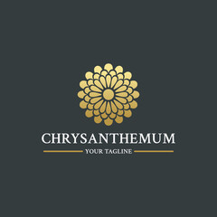 Chrysanthemum Logo. Chrysanthemum Flower Logo. Chrysanthemum Icon Vector. Chrysanthemum Icon. For print and digital media.