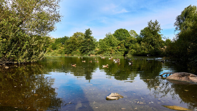 「オード川」の画像 653 件の Stock 写真、ベクターおよびビデオ Adobe Stock